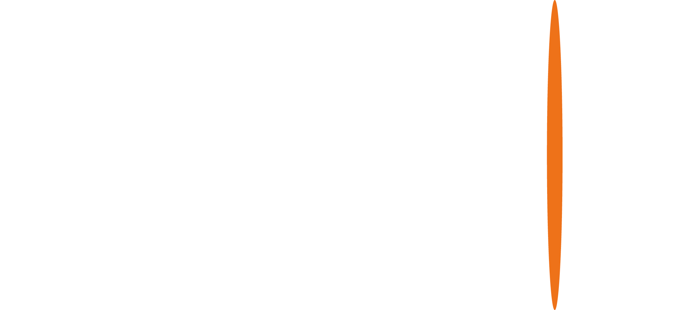 Dynamic Report